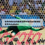 世界杯精彩进球集锦(世界杯精彩进球集锦配音乐WakaWaka)