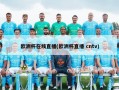欧洲杯在线直播(欧洲杯直播 cntv)