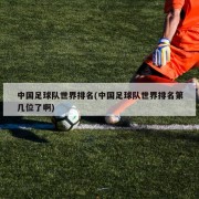 中国足球队世界排名(中国足球队世界排名第几位了啊)
