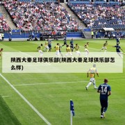 陕西大秦足球俱乐部(陕西大秦足球俱乐部怎么样)