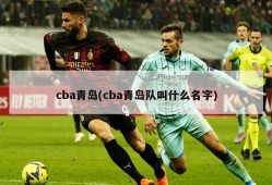 cba青岛(cba青岛队叫什么名字)