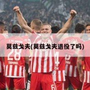 莫兹戈夫(莫兹戈夫退役了吗)