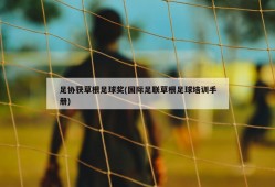 足协获草根足球奖(国际足联草根足球培训手册)