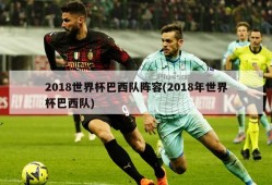 2018世界杯巴西队阵容(2018年世界杯巴西队)