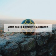 诺里斯-科尔(诺里斯科尔为什么被叫方块头)