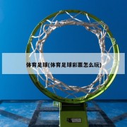 体育足球(体育足球彩票怎么玩)