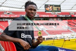 2012欧洲杯意大利(2012欧洲杯意大利英格兰)