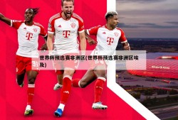 世界杯预选赛非洲区(世界杯预选赛非洲区埃及)