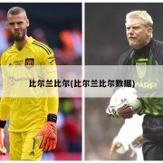 比尔兰比尔(比尔兰比尔数据)