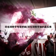 羽毛球教学专家把脉(羽毛球教学谁的最实用)