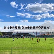 乌拉圭世界杯(乌拉圭世界杯夺冠几次)