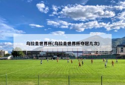 乌拉圭世界杯(乌拉圭世界杯夺冠几次)