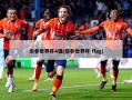 南非世界杯4强(南非世界杯 flag)