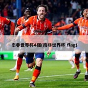 南非世界杯4强(南非世界杯 flag)