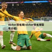 victor羽毛球(victor羽毛球型号介绍)