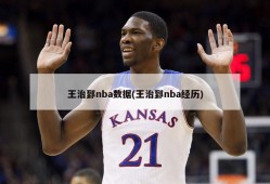王治郅nba数据(王治郅nba经历)