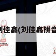 刘佳鑫(刘佳鑫拼音)