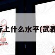 武磊在国际上什么水平(武磊登上国际)
