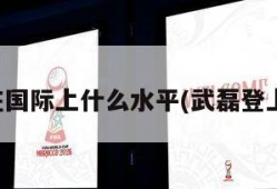 武磊在国际上什么水平(武磊登上国际)