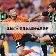 足球心水(足球心水是什么意思啊)