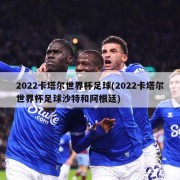 2022卡塔尔世界杯足球(2022卡塔尔世界杯足球沙特和阿根廷)