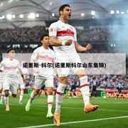 诺里斯-科尔(诺里斯科尔山东集锦)