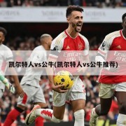 凯尔特人vs公牛(凯尔特人vs公牛推荐)