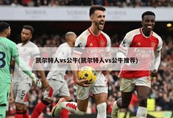 凯尔特人vs公牛(凯尔特人vs公牛推荐)