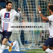 6月14日世界杯(世界杯六月十八号)