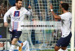 6月14日世界杯(世界杯六月十八号)