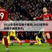 2022世界杯在哪个国家(2022世界杯在哪个国家举办)