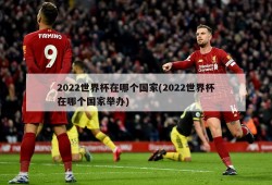2022世界杯在哪个国家(2022世界杯在哪个国家举办)