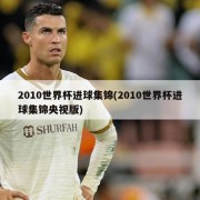 2010世界杯进球集锦(2010世界杯进球集锦央视版)