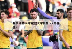 瓦尔贝里vs哥德堡(瓦尔贝里 vs 哥德堡)