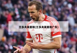 兰多夫莫里斯(兰多夫莫里斯广东)