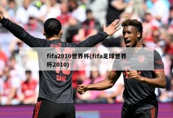fifa2010世界杯(fifa足球世界杯2010)