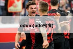 odom(odo密度)