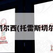 托雷斯切尔西(托雷斯切尔西图片)