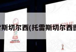 托雷斯切尔西(托雷斯切尔西图片)