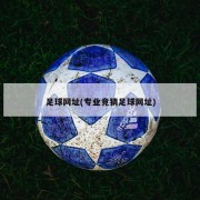 足球网址(专业竞猜足球网址)