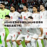 2014年世界杯中国队(2014年世界杯中国队出线了吗)