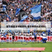 塞尔维亚足球国家队(塞尔维亚的足球队)