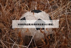 非洲杯预选赛(非洲杯预选赛2023赛程)