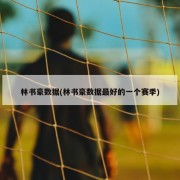 林书豪数据(林书豪数据最好的一个赛季)