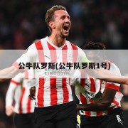 公牛队罗斯(公牛队罗斯1号)