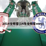 2014全明星(14年全明星mvp)