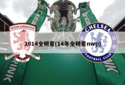 2014全明星(14年全明星mvp)