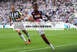 城南fc(城南fc对浦项制铁)