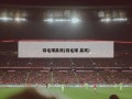 羽毛球高欢(羽毛球 高欢)
