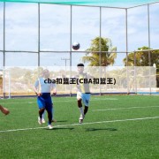 cba扣篮王(CBA扣篮王)